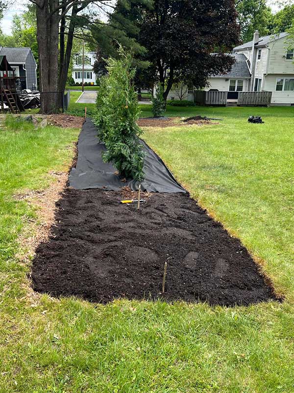 landscaping-services-NJ